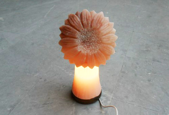 himalayan sun flower lamp